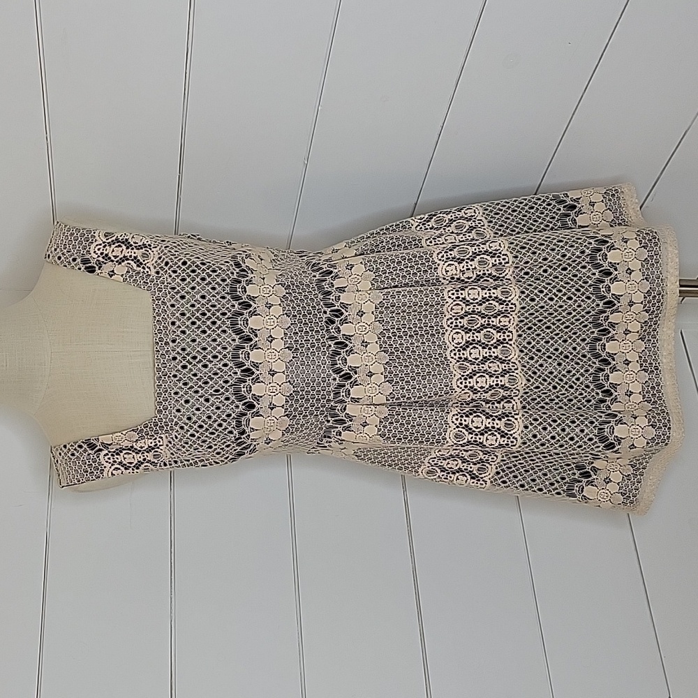 FISHBOWL medium cream and black mini dress lace
